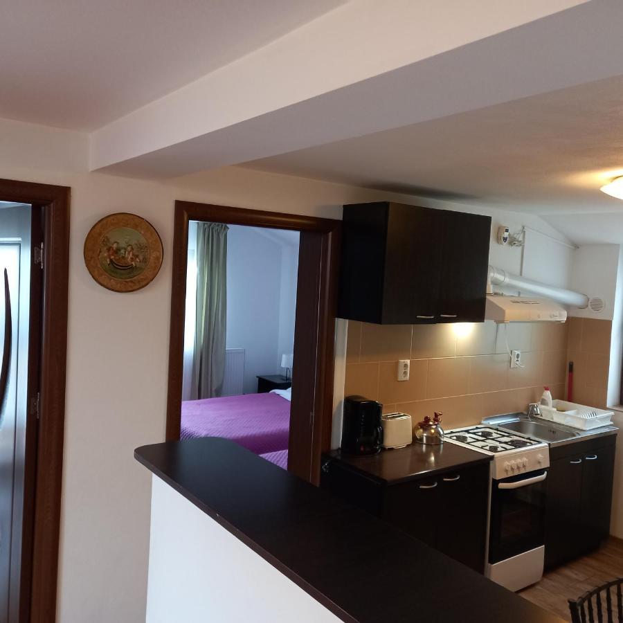 Charter Apartments Costea Сибиу Екстериор снимка